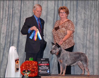 GCH Happy Trails Caution-Grace Under Fire